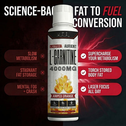 ILIORA 4000™ Liquid Carnitine Complex | Burn Fat 3X Faster