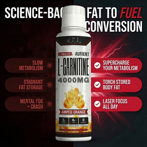 ILIORA 4000™ Liquid Carnitine Complex | Burn Fat 3X Faster